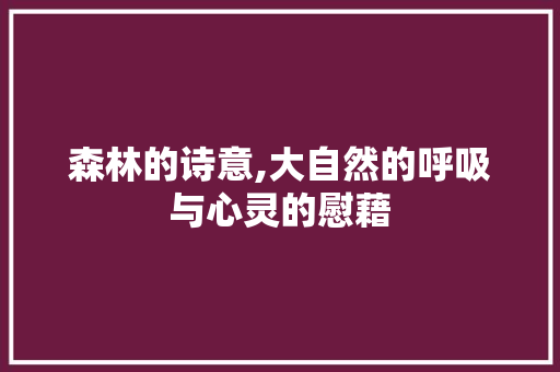 森林的诗意,大自然的呼吸与心灵的慰藉 诗词鉴赏