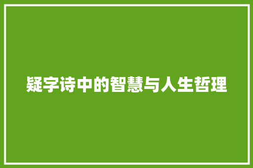 疑字诗中的智慧与人生哲理 工作计划