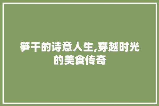 笋干的诗意人生,穿越时光的美食传奇
