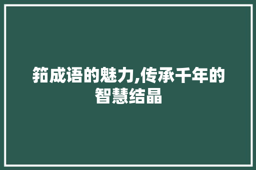 筘成语的魅力,传承千年的智慧结晶