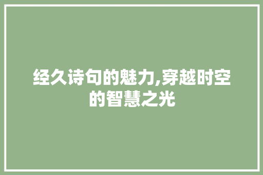 经久诗句的魅力,穿越时空的智慧之光