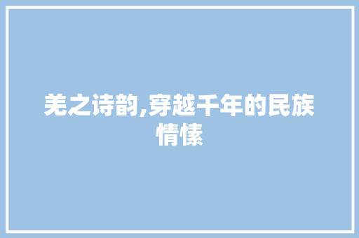 羌之诗韵,穿越千年的民族情愫