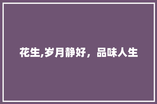 花生,岁月静好，品味人生