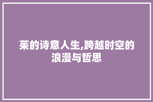 茱的诗意人生,跨越时空的浪漫与哲思