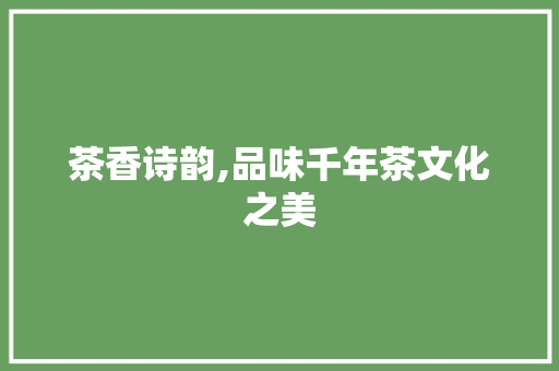 茶香诗韵,品味千年茶文化之美