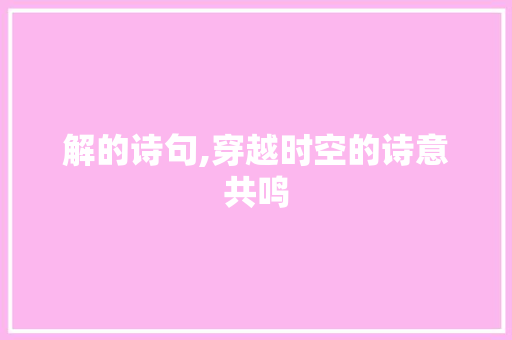 解的诗句,穿越时空的诗意共鸣