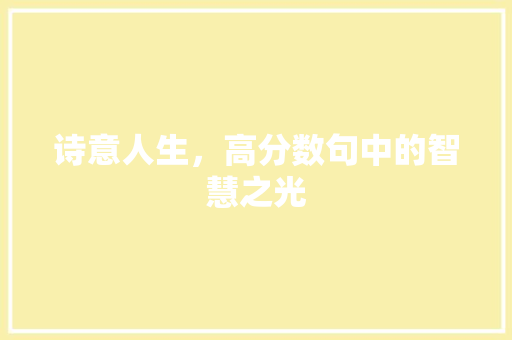 诗意人生，高分数句中的智慧之光