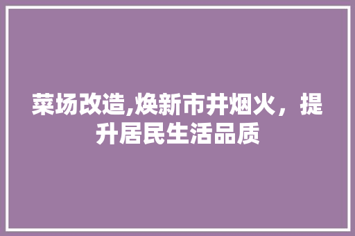 菜场改造,焕新市井烟火，提升居民生活品质