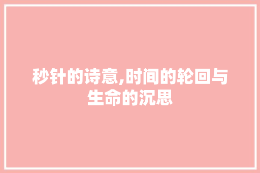秒针的诗意,时间的轮回与生命的沉思