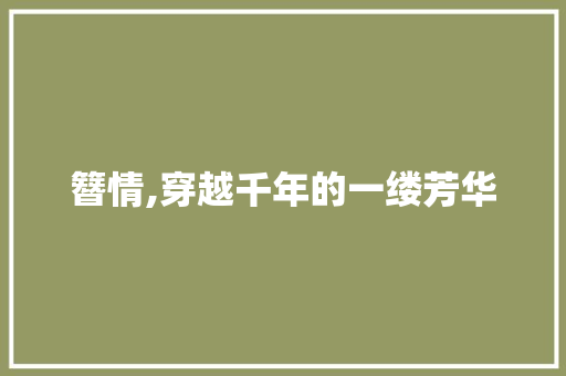 簪情,穿越千年的一缕芳华