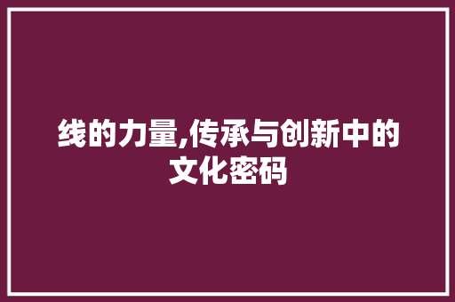 线的力量,传承与创新中的文化密码