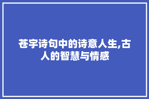 苍宇诗句中的诗意人生,古人的智慧与情感