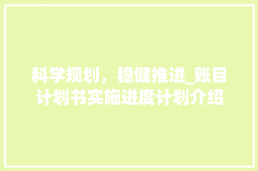 科学规划，稳健推进_账目计划书实施进度计划介绍