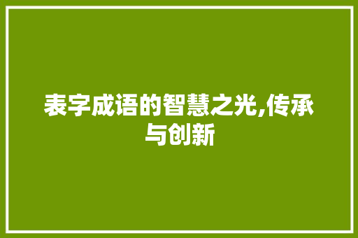 表字成语的智慧之光,传承与创新