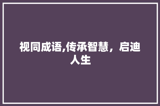视同成语,传承智慧，启迪人生