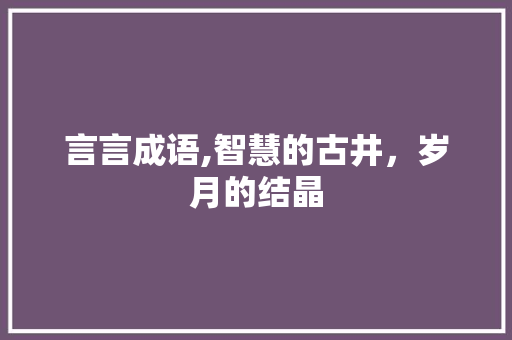 言言成语,智慧的古井，岁月的结晶