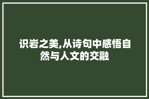 识岩之美,从诗句中感悟自然与人文的交融