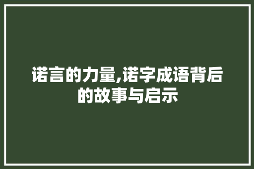 诺言的力量,诺字成语背后的故事与启示
