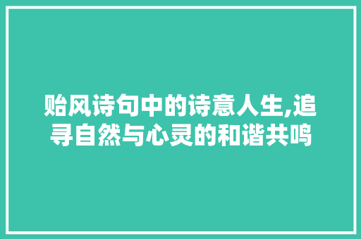 贻风诗句中的诗意人生,追寻自然与心灵的和谐共鸣