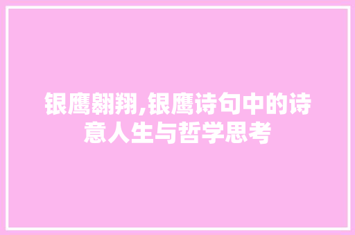 银鹰翱翔,银鹰诗句中的诗意人生与哲学思考