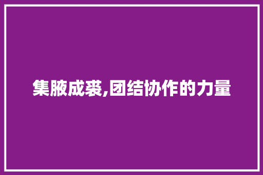 集腋成裘,团结协作的力量