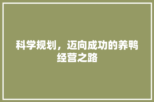 科学规划，迈向成功的养鸭经营之路