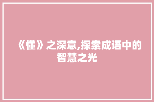 《懂》之深意,探索成语中的智慧之光