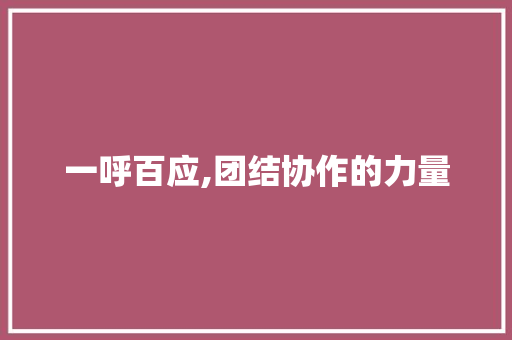 一呼百应,团结协作的力量