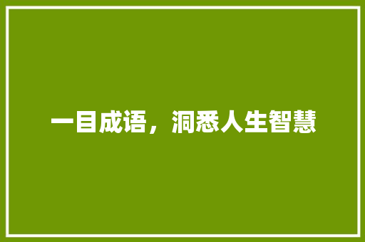 一目成语，洞悉人生智慧