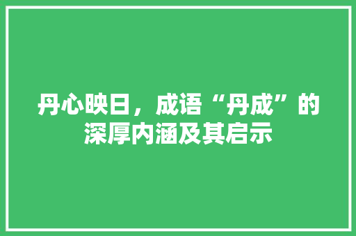 丹心映日，成语“丹成”的深厚内涵及其启示