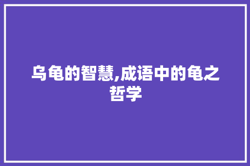 乌龟的智慧,成语中的龟之哲学