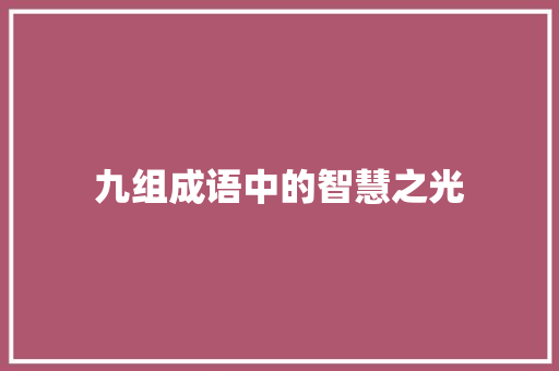九组成语中的智慧之光