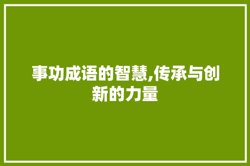 事功成语的智慧,传承与创新的力量 工作计划