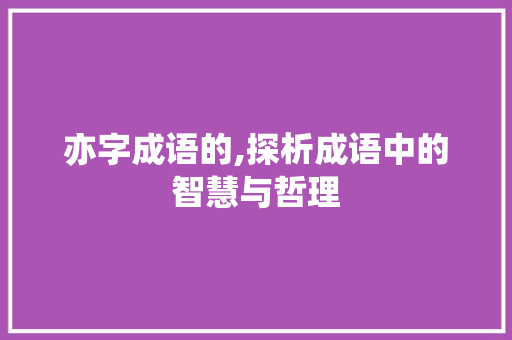 亦字成语的,探析成语中的智慧与哲理 工作计划