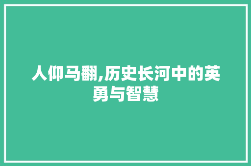 人仰马翻,历史长河中的英勇与智慧 成语大全