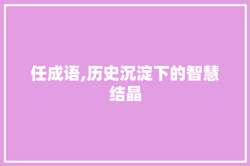 任成语,历史沉淀下的智慧结晶 工作总结