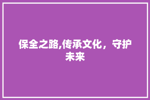 保全之路,传承文化，守护未来