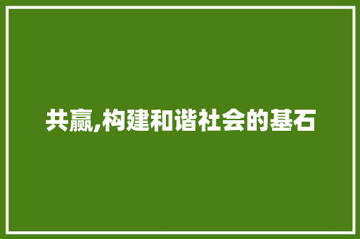 共赢,构建和谐社会的基石