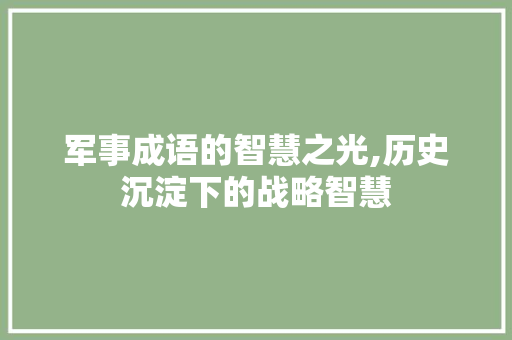 军事成语的智慧之光,历史沉淀下的战略智慧