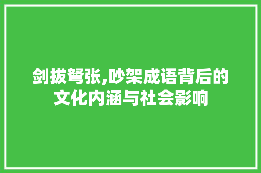 剑拔弩张,吵架成语背后的文化内涵与社会影响