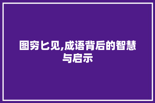 图穷匕见,成语背后的智慧与启示