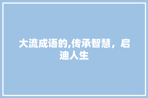大流成语的,传承智慧，启迪人生