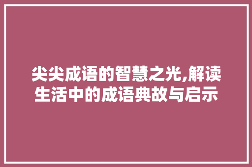 尖尖成语的智慧之光,解读生活中的成语典故与启示