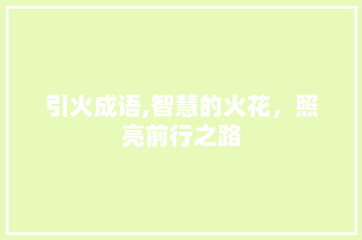 引火成语,智慧的火花，照亮前行之路