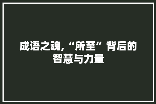 成语之魂,“所至”背后的智慧与力量