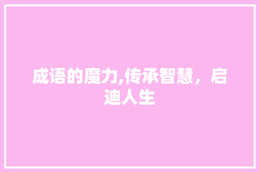 成语的魔力,传承智慧，启迪人生