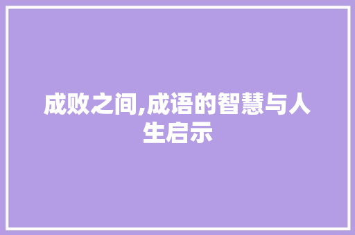 成败之间,成语的智慧与人生启示