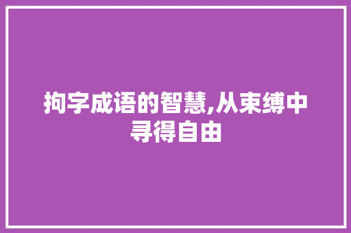 拘字成语的智慧,从束缚中寻得自由