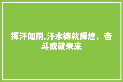 挥汗如雨,汗水铸就辉煌，奋斗成就未来
