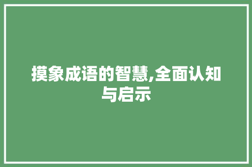 摸象成语的智慧,全面认知与启示